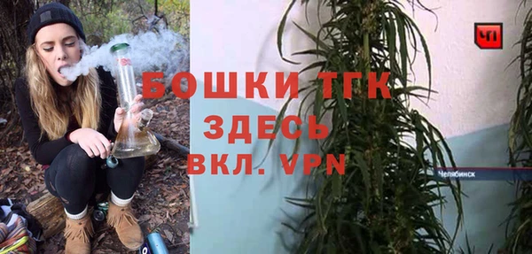 дживик Весьегонск