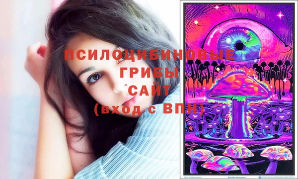 прущие грибы Алзамай