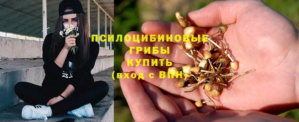 прущие грибы Алзамай