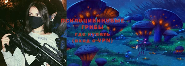 прущие грибы Алзамай